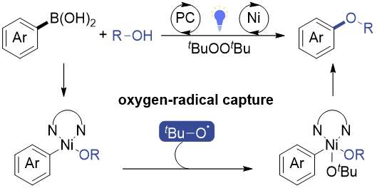 88B01
